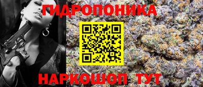 гидра Пушкино